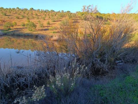 TERRENO COM 145.360 M2 - COM LAGO - POSSIBILIDADE DE CONSTRUÇÃO - TURISMO E HABITAÇÃO - COM VISTA - PRÓXIMO DE ODELEITE - CASTRO MARIM - ALGARVE