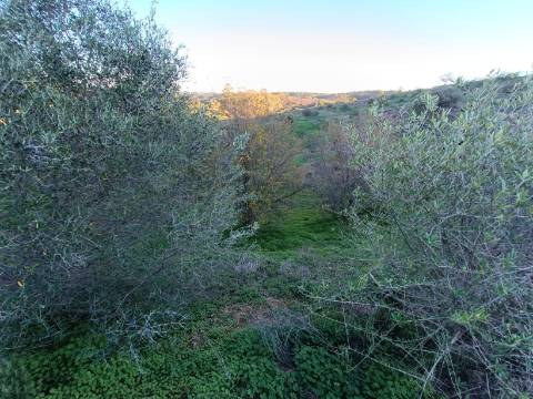 TERRENO COM 145.360 M2 - COM LAGO - POSSIBILIDADE DE CONSTRUÇÃO - TURISMO E HABITAÇÃO - COM VISTA - PRÓXIMO DE ODELEITE - CASTRO MARIM - ALGARVE