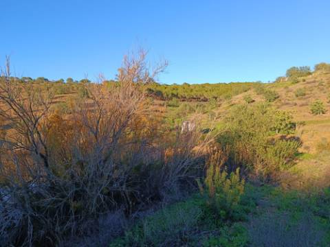 TERRENO COM 145.360 M2 - COM LAGO - POSSIBILIDADE DE CONSTRUÇÃO - TURISMO E HABITAÇÃO - COM VISTA - PRÓXIMO DE ODELEITE - CASTRO MARIM - ALGARVE