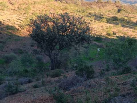 TERRENO COM 145.360 M2 - COM LAGO - POSSIBILIDADE DE CONSTRUÇÃO - TURISMO E HABITAÇÃO - COM VISTA - PRÓXIMO DE ODELEITE - CASTRO MARIM - ALGARVE