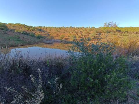TERRENO COM 145.360 M2 - COM LAGO - POSSIBILIDADE DE CONSTRUÇÃO - TURISMO E HABITAÇÃO - COM VISTA - PRÓXIMO DE ODELEITE - CASTRO MARIM - ALGARVE