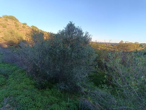 TERRENO COM 145.360 M2 - COM LAGO - POSSIBILIDADE DE CONSTRUÇÃO - TURISMO E HABITAÇÃO - COM VISTA - PRÓXIMO DE ODELEITE - CASTRO MARIM - ALGARVE