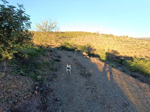 TERRENO COM 145.360 M2 - COM LAGO - POSSIBILIDADE DE CONSTRUÇÃO - TURISMO E HABITAÇÃO - COM VISTA - PRÓXIMO DE ODELEITE - CASTRO MARIM - ALGARVE