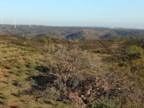 TERRENO COM 145.360 M2 - COM LAGO - POSSIBILIDADE DE CONSTRUÇÃO - TURISMO E HABITAÇÃO - COM VISTA - PRÓXIMO DE ODELEITE - CASTRO MARIM - ALGARVE