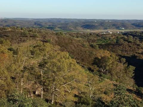 TERRENO COM 145.360 M2 - COM LAGO - POSSIBILIDADE DE CONSTRUÇÃO - TURISMO E HABITAÇÃO - COM VISTA - PRÓXIMO DE ODELEITE - CASTRO MARIM - ALGARVE