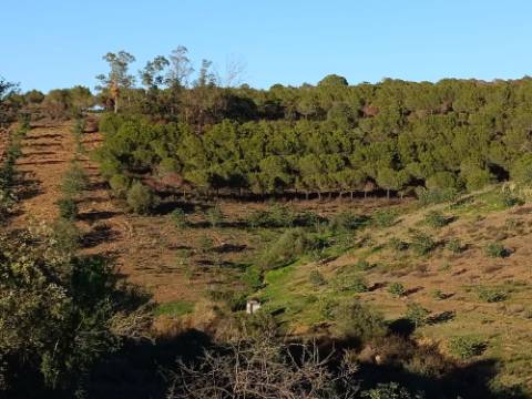 TERRENO COM 145.360 M2 - COM LAGO - POSSIBILIDADE DE CONSTRUÇÃO - TURISMO E HABITAÇÃO - COM VISTA - PRÓXIMO DE ODELEITE - CASTRO MARIM - ALGARVE