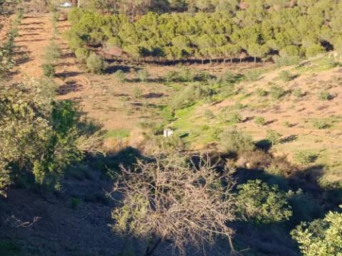 TERRENO COM 145.360 M2 - COM LAGO - POSSIBILIDADE DE CONSTRUÇÃO - TURISMO E HABITAÇÃO - COM VISTA - PRÓXIMO DE ODELEITE - CASTRO MARIM - ALGARVE