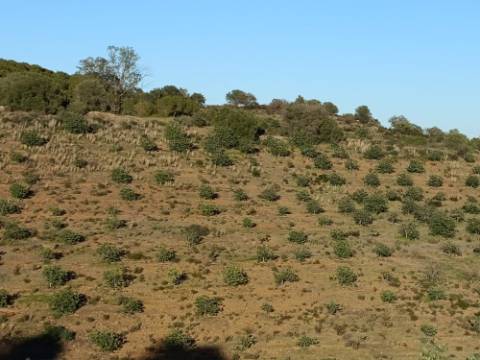TERRENO COM 145.360 M2 - COM LAGO - POSSIBILIDADE DE CONSTRUÇÃO - TURISMO E HABITAÇÃO - COM VISTA - PRÓXIMO DE ODELEITE - CASTRO MARIM - ALGARVE
