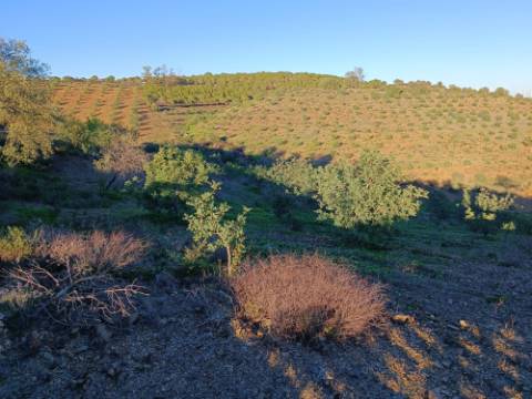 TERRENO COM 145.360 M2 - COM LAGO - POSSIBILIDADE DE CONSTRUÇÃO - TURISMO E HABITAÇÃO - COM VISTA - PRÓXIMO DE ODELEITE - CASTRO MARIM - ALGARVE