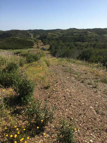 Terreno Rustico no Picarça