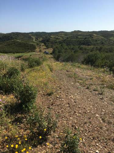 Terreno Rustico no Picarça