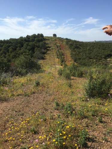 Terreno Rustico no Picarça