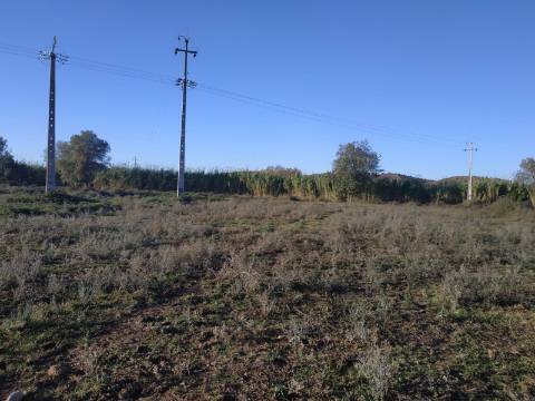 TERRENO COM RUINA - 4.960 M2 - COM NORA - ÁGUA DA BARRAGEM NA JUNQUEIRA EM CASTRO MARIM - ALGARVE
