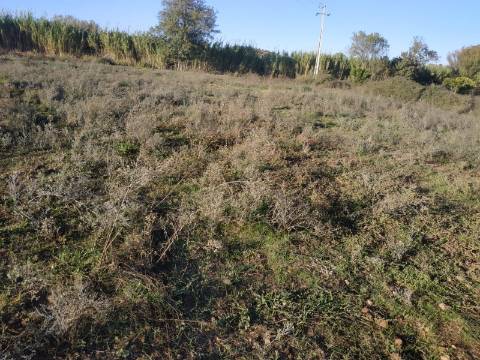 TERRENO COM RUINA - 4.960 M2 - COM NORA - ÁGUA DA BARRAGEM NA JUNQUEIRA EM CASTRO MARIM - ALGARVE