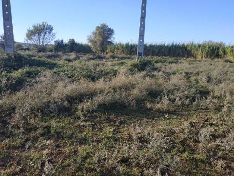 TERRENO COM RUINA - 4.960 M2 - COM NORA - ÁGUA DA BARRAGEM NA JUNQUEIRA EM CASTRO MARIM - ALGARVE