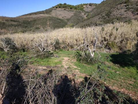 TERRENO RÚSTICO COM 4.760 M2 - BONS ACESSOS - MARROQUIL - AZINHAL - CASTRO MARIM - ALGARVE