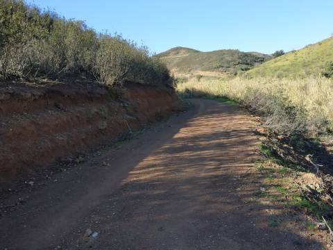 TERRENO RÚSTICO COM 4.760 M2 - BONS ACESSOS - MARROQUIL - AZINHAL - CASTRO MARIM - ALGARVE