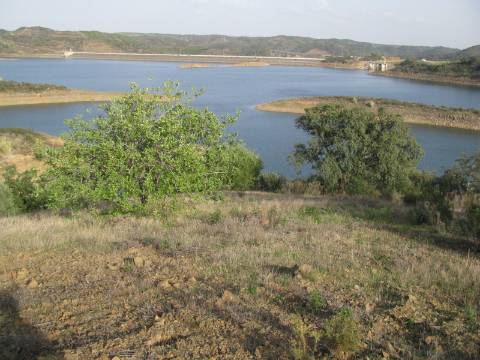 TERRENO COM 27.600 M2 - JUNTO AO LAGO - POSSIBILIDADE DE CONSTRUIR APOIO AGRICOLA - ALCARIAS GRANDES - CASTRO MARIM - ALGARVE
