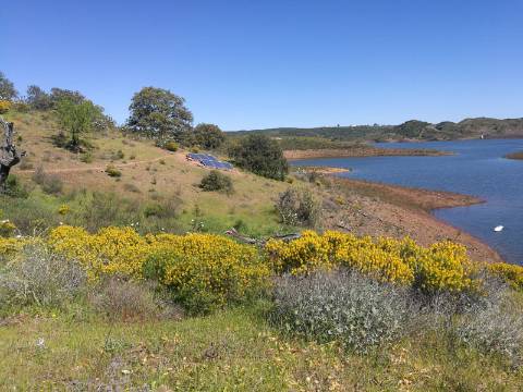 TERRENO COM 27.600 M2 - JUNTO AO LAGO - POSSIBILIDADE DE CONSTRUIR APOIO AGRICOLA - ALCARIAS GRANDES - CASTRO MARIM - ALGARVE