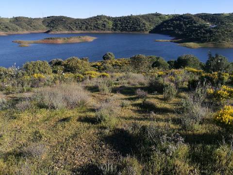 TERRENO COM 27.600 M2 - JUNTO AO LAGO - POSSIBILIDADE DE CONSTRUIR APOIO AGRICOLA - ALCARIAS GRANDES - CASTRO MARIM - ALGARVE