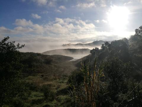 TERRENO COM 27.600 M2 - JUNTO AO LAGO - POSSIBILIDADE DE CONSTRUIR APOIO AGRICOLA - ALCARIAS GRANDES - CASTRO MARIM - ALGARVE