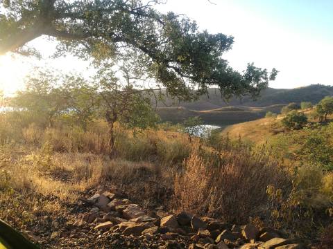 TERRENO COM 27.600 M2 - JUNTO AO LAGO - POSSIBILIDADE DE CONSTRUIR APOIO AGRICOLA - ALCARIAS GRANDES - CASTRO MARIM - ALGARVE