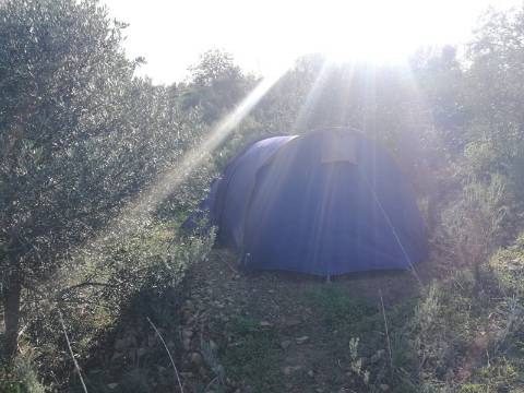 TERRENO COM 27.600 M2 - JUNTO AO LAGO - POSSIBILIDADE DE CONSTRUIR APOIO AGRICOLA - ALCARIAS GRANDES - CASTRO MARIM - ALGARVE