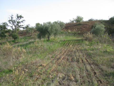 TERRENO COM 27.600 M2 - JUNTO AO LAGO - POSSIBILIDADE DE CONSTRUIR APOIO AGRICOLA - ALCARIAS GRANDES - CASTRO MARIM - ALGARVE