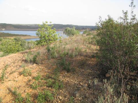 TERRENO COM 27.600 M2 - JUNTO AO LAGO - POSSIBILIDADE DE CONSTRUIR APOIO AGRICOLA - ALCARIAS GRANDES - CASTRO MARIM - ALGARVE