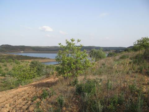 TERRENO COM 27.600 M2 - JUNTO AO LAGO - POSSIBILIDADE DE CONSTRUIR APOIO AGRICOLA - ALCARIAS GRANDES - CASTRO MARIM - ALGARVE