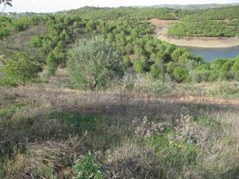 TERRENO COM 27.600 M2 - JUNTO AO LAGO - POSSIBILIDADE DE CONSTRUIR APOIO AGRICOLA - ALCARIAS GRANDES - CASTRO MARIM - ALGARVE