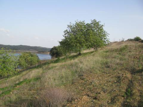 TERRENO COM 27.600 M2 - JUNTO AO LAGO - POSSIBILIDADE DE CONSTRUIR APOIO AGRICOLA - ALCARIAS GRANDES - CASTRO MARIM - ALGARVE