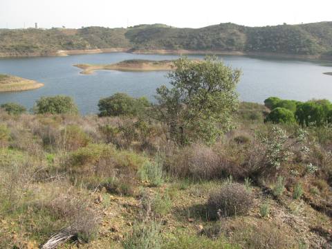 TERRENO COM 27.600 M2 - JUNTO AO LAGO - POSSIBILIDADE DE CONSTRUIR APOIO AGRICOLA - ALCARIAS GRANDES - CASTRO MARIM - ALGARVE