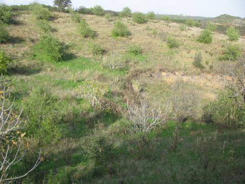 TERRENO COM 27.600 M2 - JUNTO AO LAGO - POSSIBILIDADE DE CONSTRUIR APOIO AGRICOLA - ALCARIAS GRANDES - CASTRO MARIM - ALGARVE