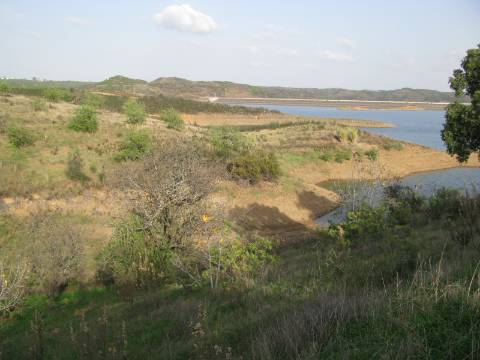 TERRENO COM 27.600 M2 - JUNTO AO LAGO - POSSIBILIDADE DE CONSTRUIR APOIO AGRICOLA - ALCARIAS GRANDES - CASTRO MARIM - ALGARVE
