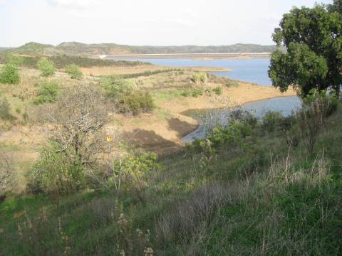 TERRENO COM 27.600 M2 - JUNTO AO LAGO - POSSIBILIDADE DE CONSTRUIR APOIO AGRICOLA - ALCARIAS GRANDES - CASTRO MARIM - ALGARVE