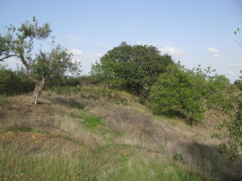TERRENO COM 27.600 M2 - JUNTO AO LAGO - POSSIBILIDADE DE CONSTRUIR APOIO AGRICOLA - ALCARIAS GRANDES - CASTRO MARIM - ALGARVE