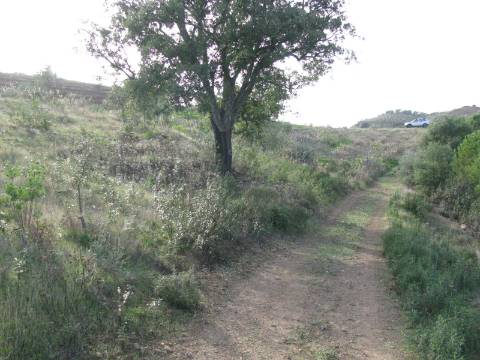 TERRENO COM 27.600 M2 - JUNTO AO LAGO - POSSIBILIDADE DE CONSTRUIR APOIO AGRICOLA - ALCARIAS GRANDES - CASTRO MARIM - ALGARVE