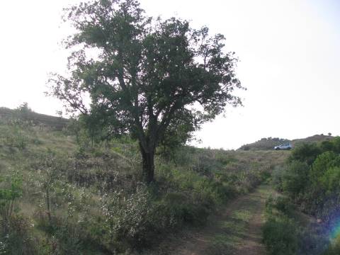 TERRENO COM 27.600 M2 - JUNTO AO LAGO - POSSIBILIDADE DE CONSTRUIR APOIO AGRICOLA - ALCARIAS GRANDES - CASTRO MARIM - ALGARVE