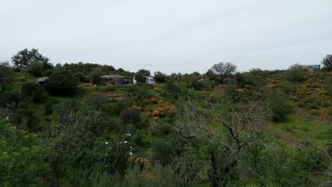 TERRENO COM 27.600 M2 - JUNTO AO LAGO - POSSIBILIDADE DE CONSTRUIR APOIO AGRICOLA - ALCARIAS GRANDES - CASTRO MARIM - ALGARVE