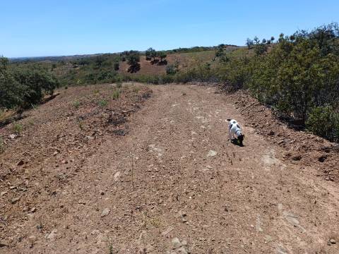TERRENO COM 840 M2 - COM ÁRVORES - PRÓXIMO DA CORTE DO GAGO - CASTRO MARIM - ALGARVE