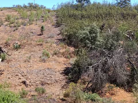 TERRENO COM 840 M2 - COM ÁRVORES - PRÓXIMO DA CORTE DO GAGO - CASTRO MARIM - ALGARVE