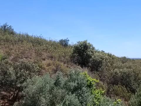 TERRENO COM 840 M2 - COM ÁRVORES - PRÓXIMO DA CORTE DO GAGO - CASTRO MARIM - ALGARVE