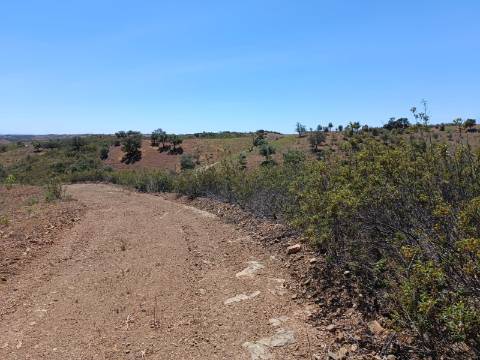 TERRENO COM 840 M2 - COM ÁRVORES - PRÓXIMO DA CORTE DO GAGO - CASTRO MARIM - ALGARVE