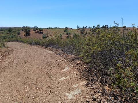 TERRENO COM 840 M2 - COM ÁRVORES - PRÓXIMO DA CORTE DO GAGO - CASTRO MARIM - ALGARVE