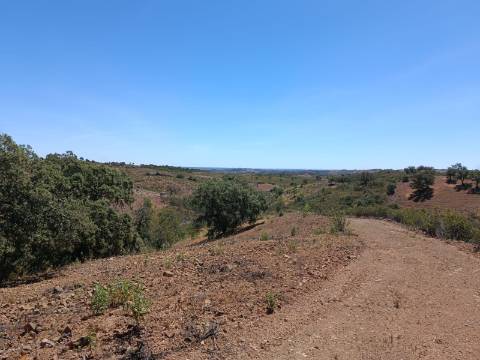TERRENO COM 840 M2 - COM ÁRVORES - PRÓXIMO DA CORTE DO GAGO - CASTRO MARIM - ALGARVE