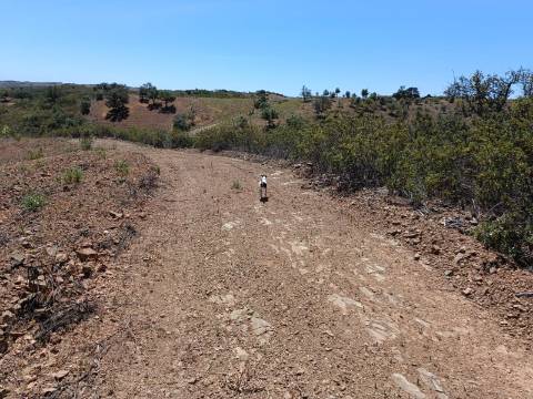 TERRENO COM 840 M2 - COM ÁRVORES - PRÓXIMO DA CORTE DO GAGO - CASTRO MARIM - ALGARVE