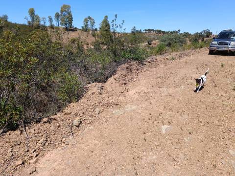 TERRENO COM 840 M2 - COM ÁRVORES - PRÓXIMO DA CORTE DO GAGO - CASTRO MARIM - ALGARVE