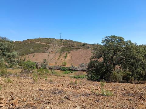 TERRENO COM 840 M2 - COM ÁRVORES - PRÓXIMO DA CORTE DO GAGO - CASTRO MARIM - ALGARVE