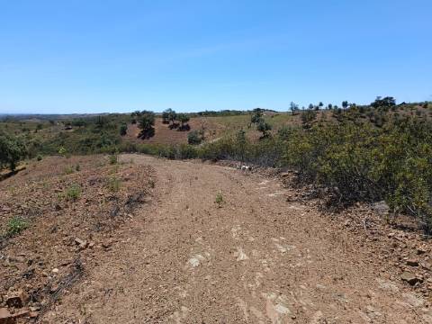TERRENO COM 840 M2 - COM ÁRVORES - PRÓXIMO DA CORTE DO GAGO - CASTRO MARIM - ALGARVE